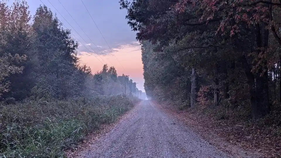 A serene gravel road winds through autumnal trees with misty foliage and a soft pink and blue sky at dawn or dusk. Overlaid…