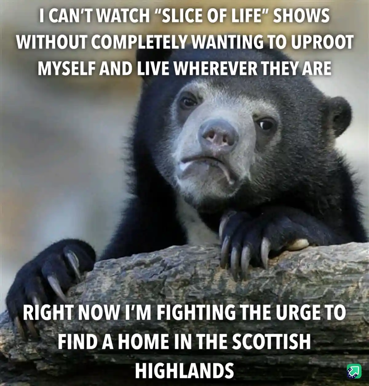 I need some assistance here!