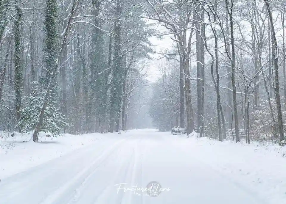 A snowy forest road with tire tracks leading into the distance, flanked by snow-covered trees. Overlaid text reads 'i'm not…