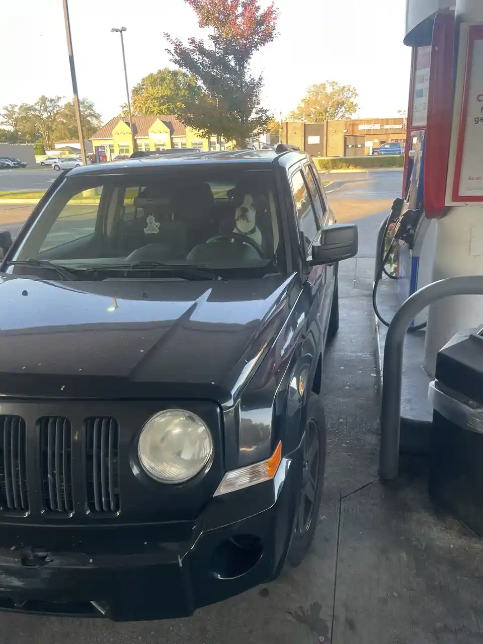 A black Jeep is parked at a gas station pump, and a dog with a white face and dark body is sitting in the driver's seat…