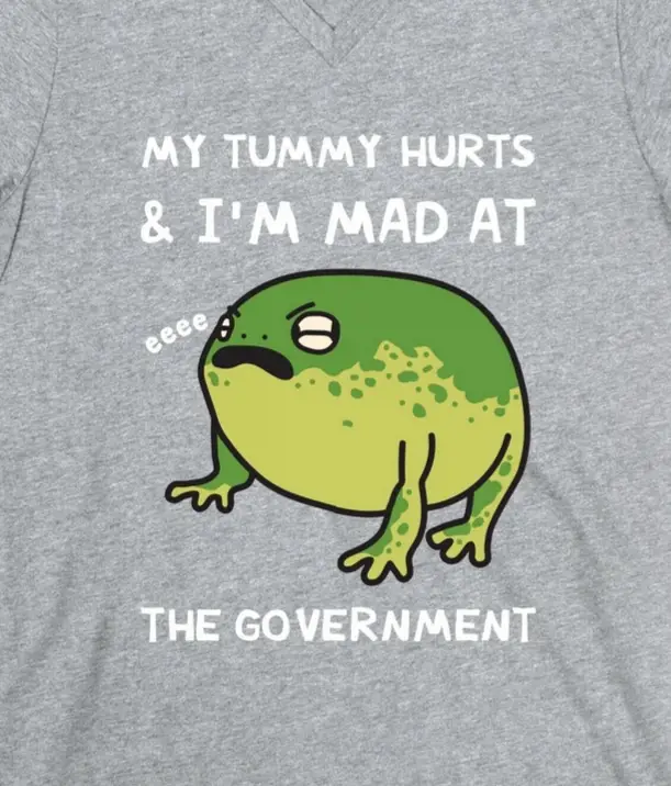 A gray t-shirt features a cartoon green frog with a pouty face and the text 'MY TUMMY HURTS & I'M MAD AT THE GOVERNMENT'…