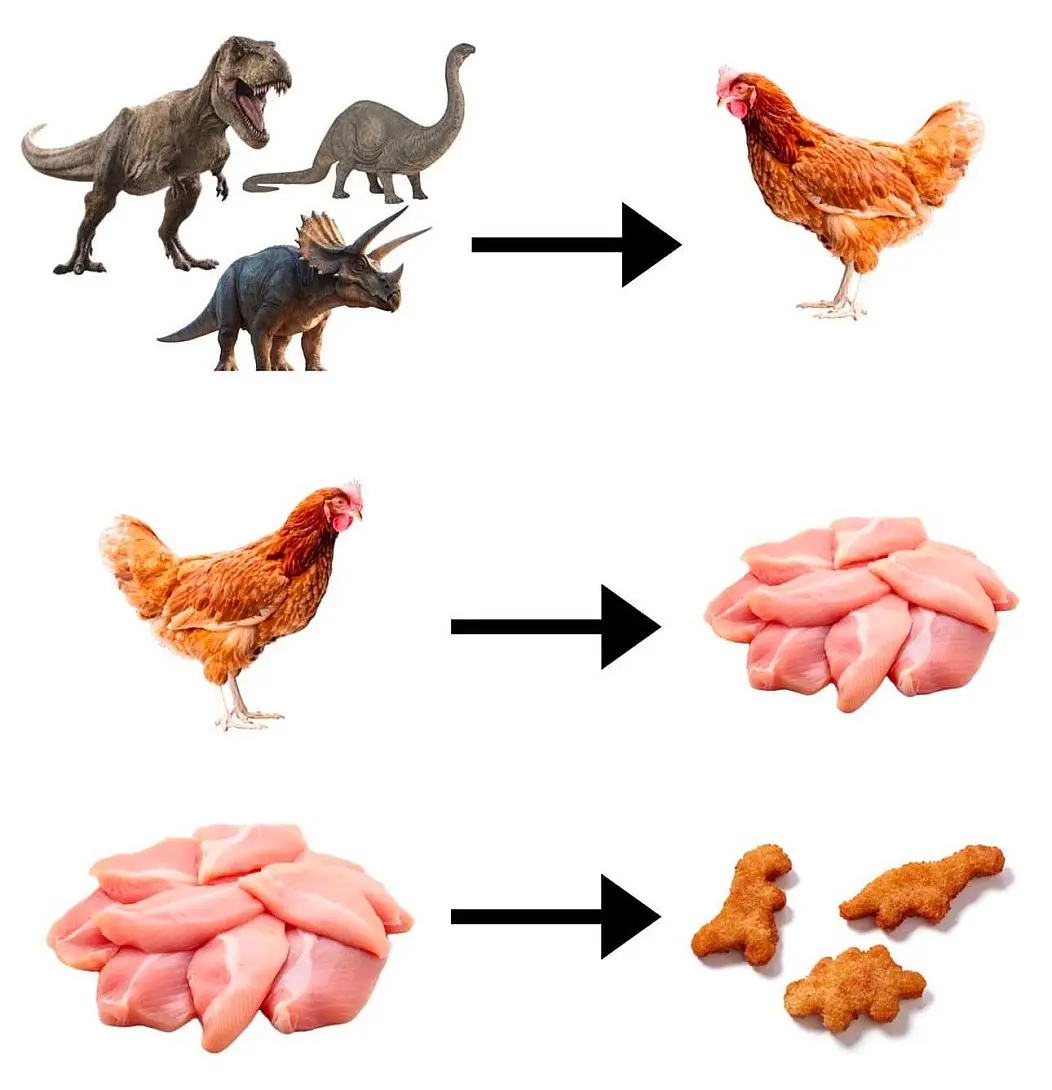 The Eternal Cycle of Existence