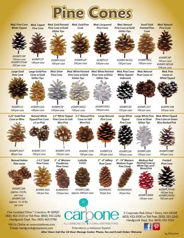 Tag Yourself: I'm a Deodar Tree