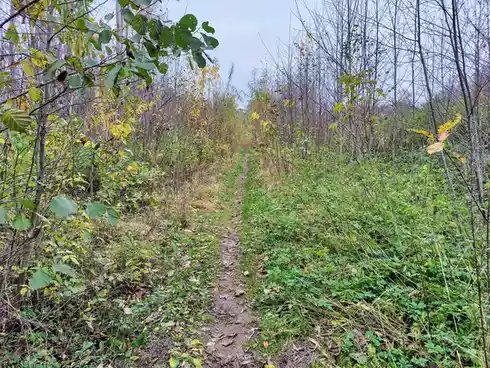 Tracking My Hiking Progress: A Journey