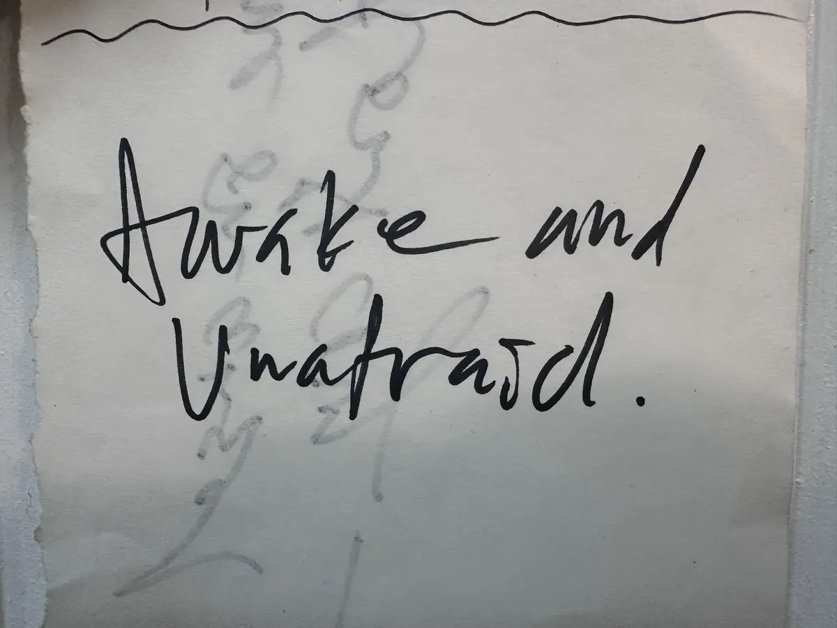 Awake and Unafraid: A Message from the Angels