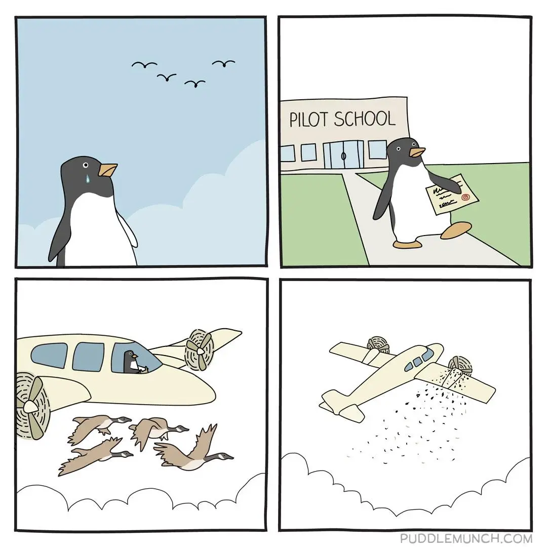 A four-panel comic shows a penguin looking up at birds flying in formation, then proudly holding a pilot school diploma…