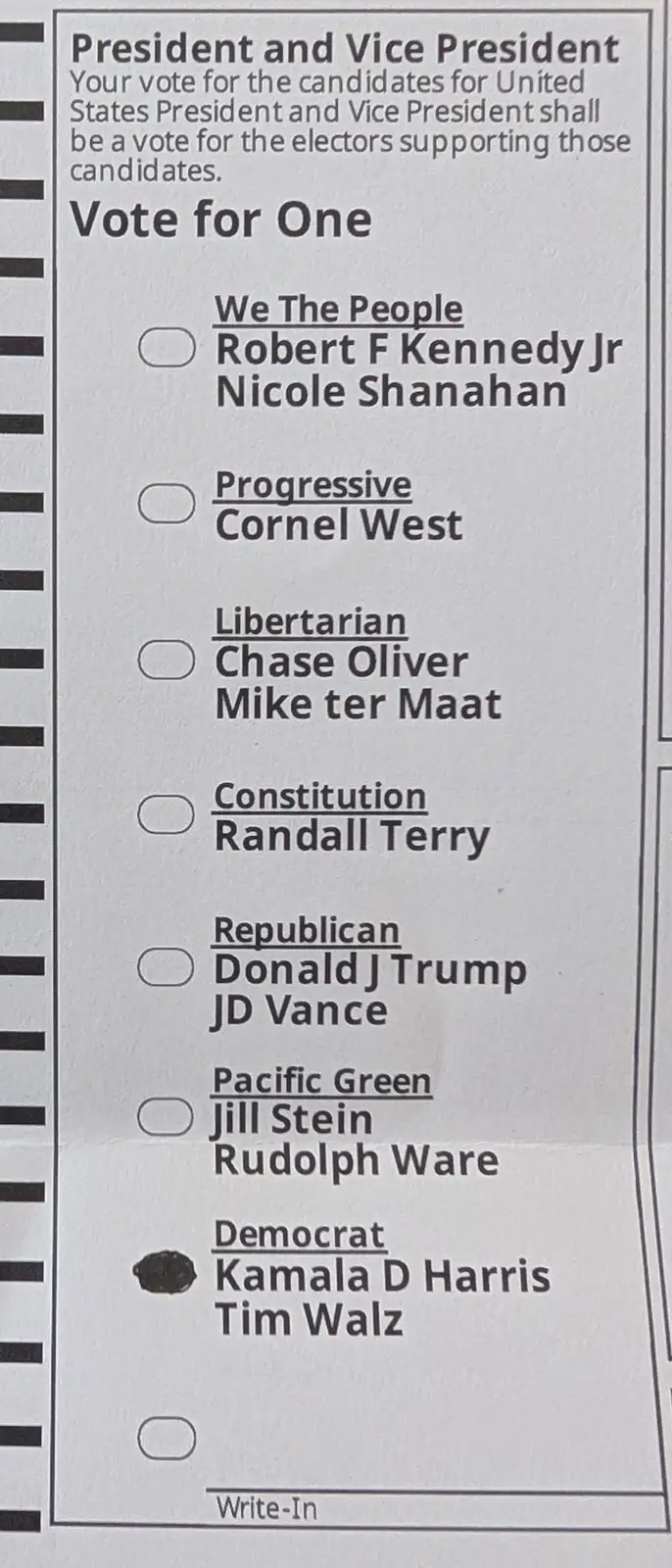 I Cast My Vote!
