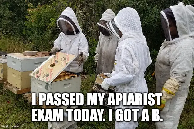 Four people in full beekeeping suits stand around beehives in a grassy outdoor area. One person is holding open a hive box…