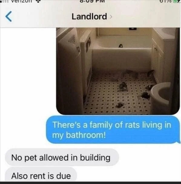 A screenshot of a text message conversation with a landlord, where the tenant sends a photo of multiple rats in a bathroom…