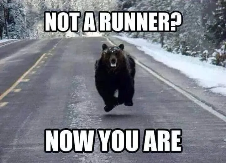 A black bear is captured mid-stride, running directly toward the camera down a snow-lined asphalt road. The image has bold…