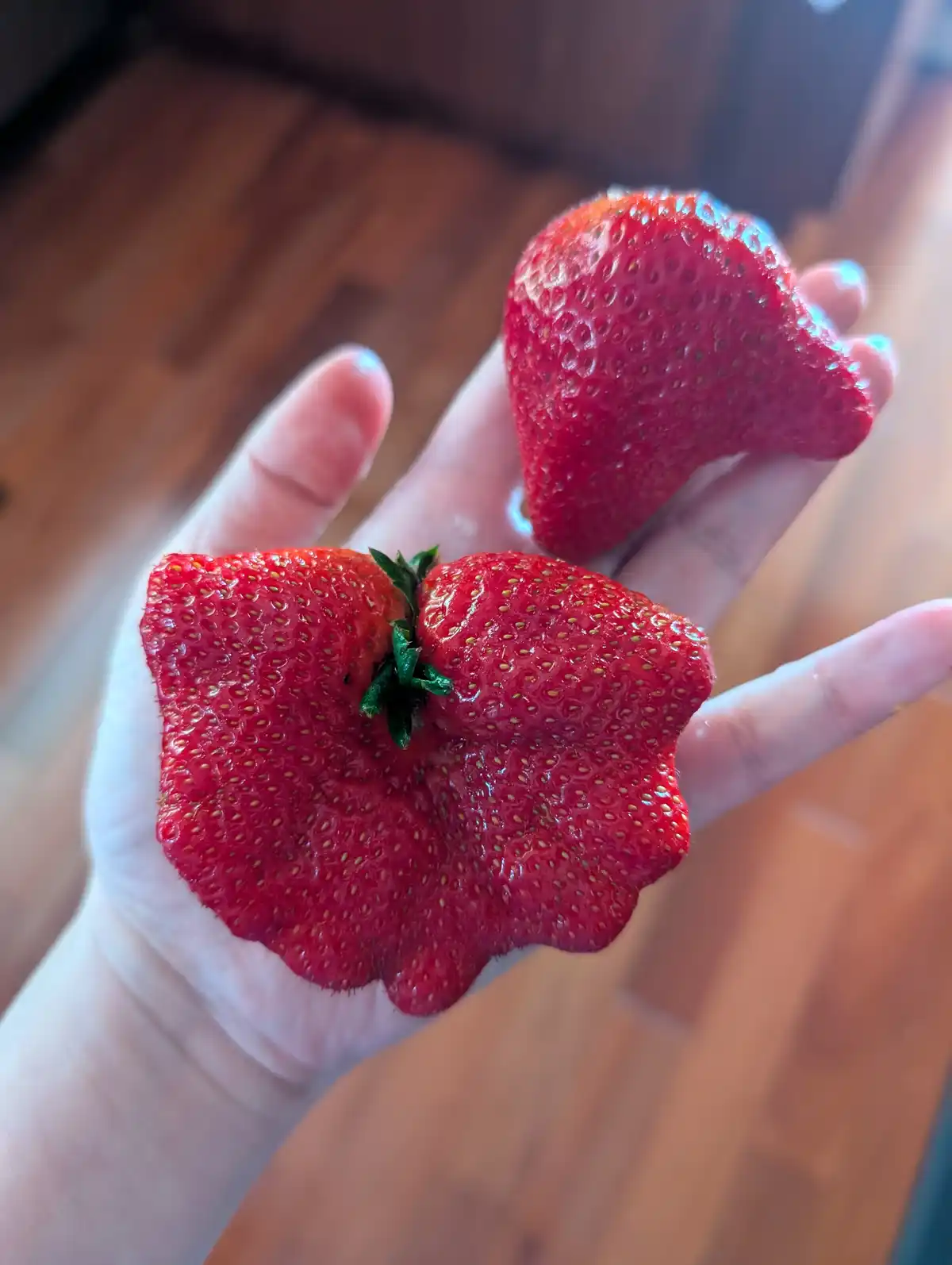 Check out these oddly shaped strawberries [OC]