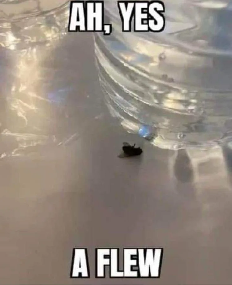 Just Another Meme