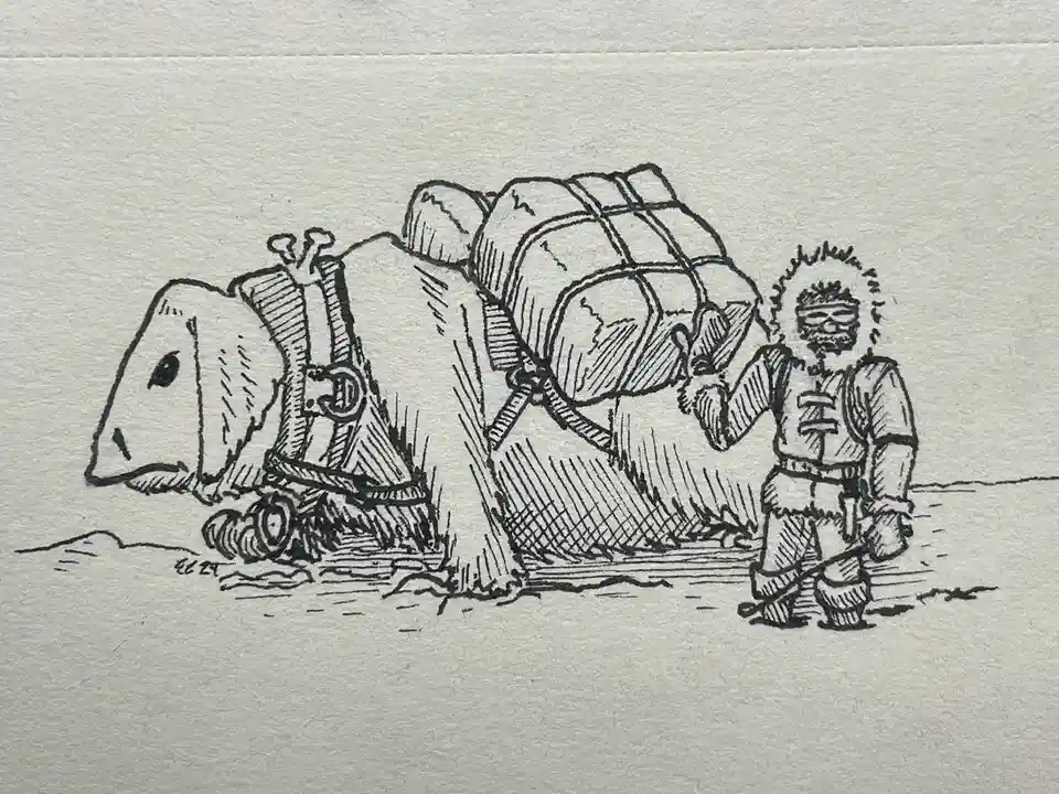 A black-and-white ink drawing shows a person in heavy winter gear standing beside a large, heavily laden animal that appears…