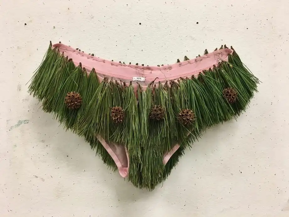 A pair of pink underwear is covered in green pine needles and small pinecones, displayed against a plain off-white wall. The…