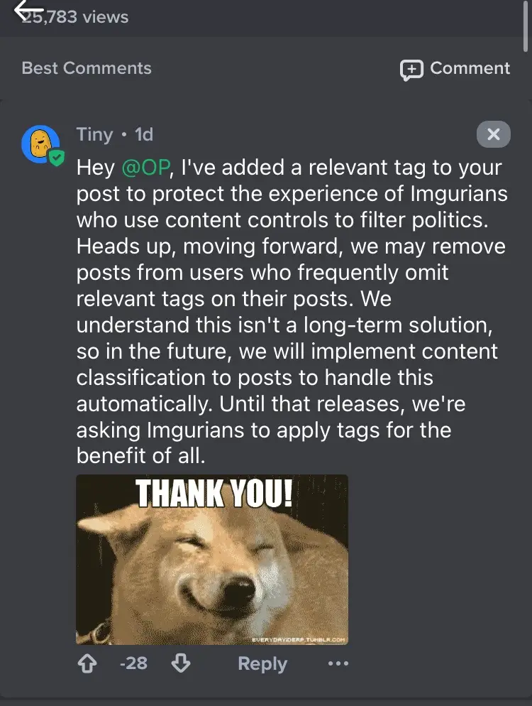 A screenshot of an Imgur comment section shows a user named 'Tiny' posting a message about adding tags to posts for content…