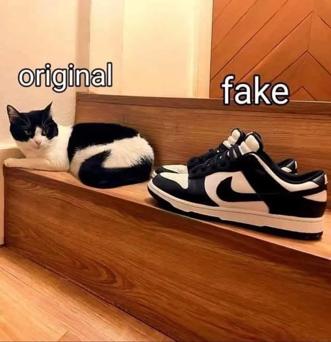 This Looks Totally Legit!
