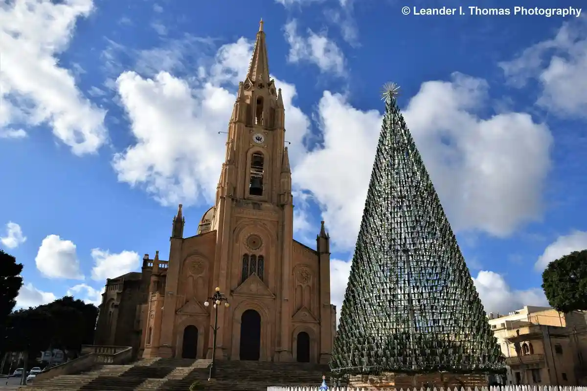 The Enigmatic Bottle Tree: Nature's Artistry
