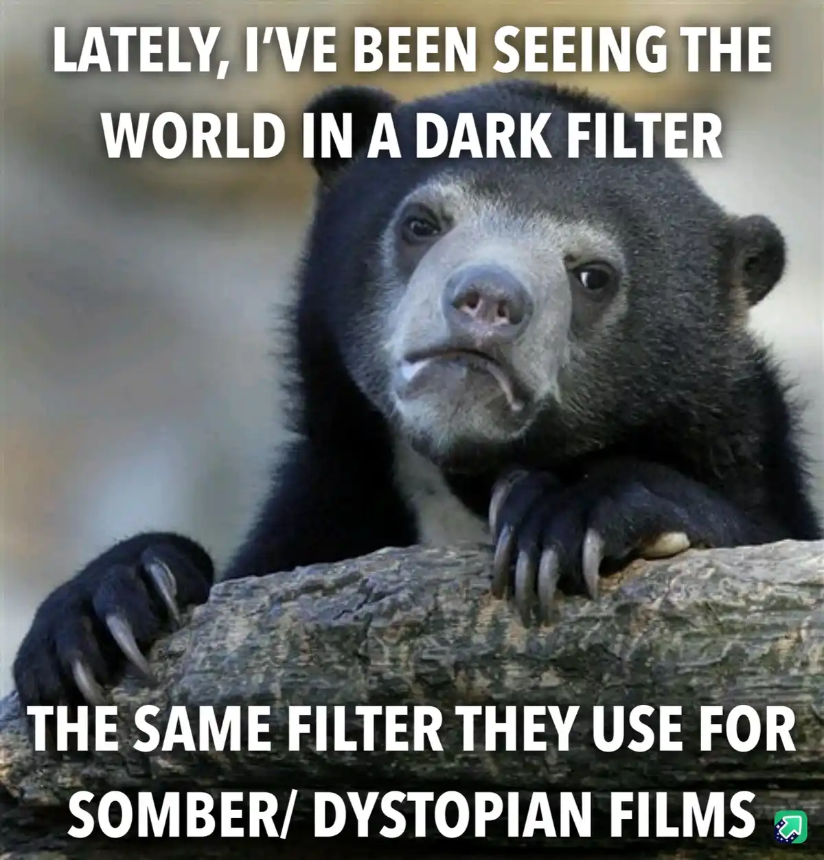 A close-up photo of a sad-looking sun bear resting its paws on a log, with white text overlaid in two blocks. The top text…