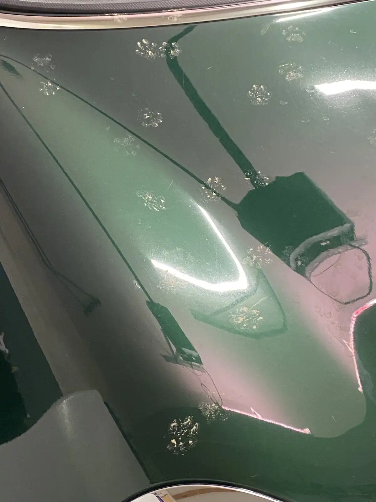 A close-up of a dark green car hood covered in small, scattered white specks, likely dust or debris, with reflections of…
