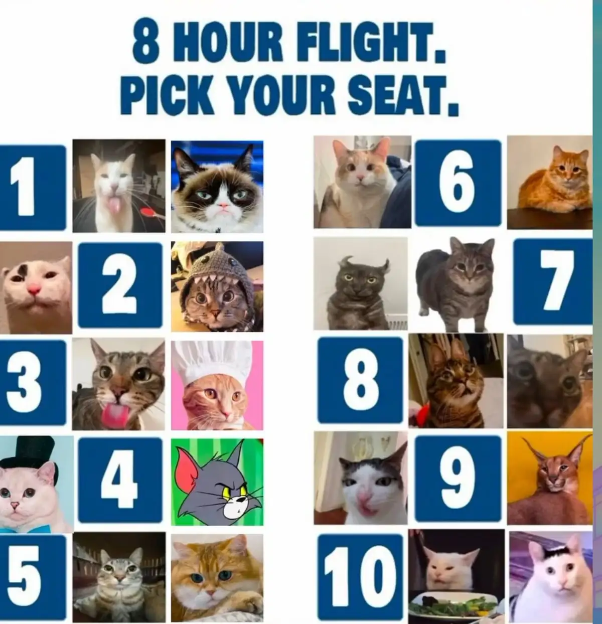 Choose Your Perfect Spot