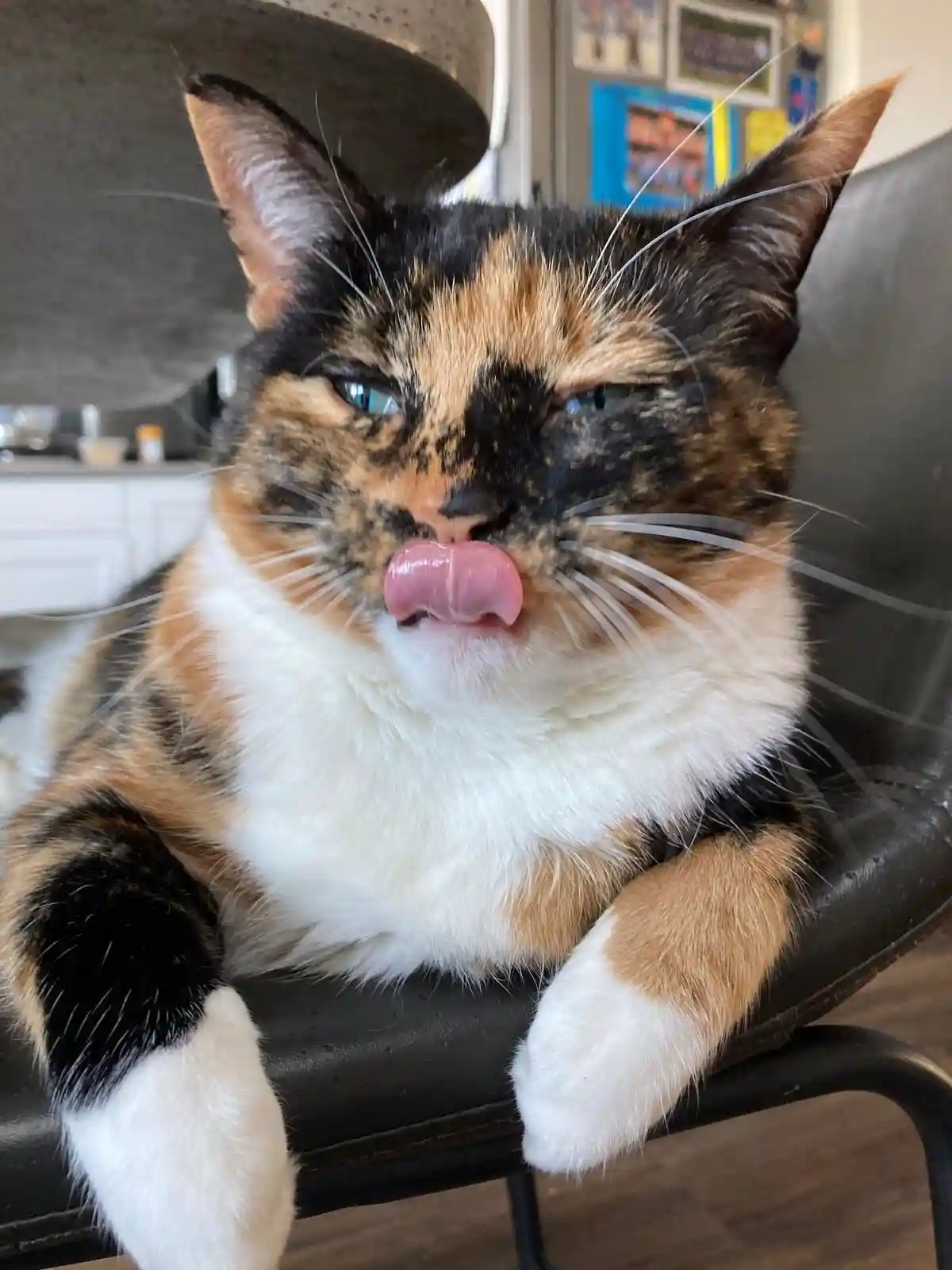 Crumble's Daily Snapshot