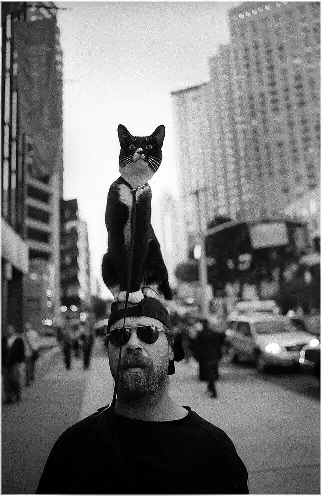 A black-and-white photo shows a man with a beard and sunglasses walking down a city street, with a black-and-white cat…