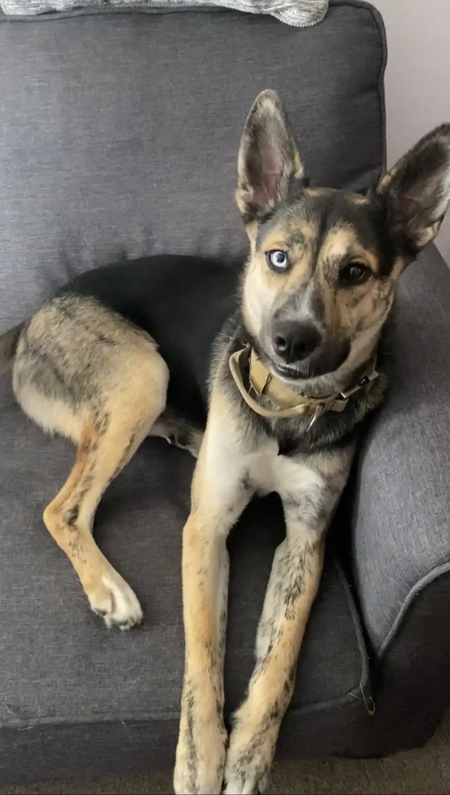 That Unique Blue and Brown Eye Staring Back at You