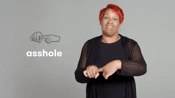Six people demonstrate offensive hand gestures while text labels identify each gesture as a vulgar insult like 'asshole'…