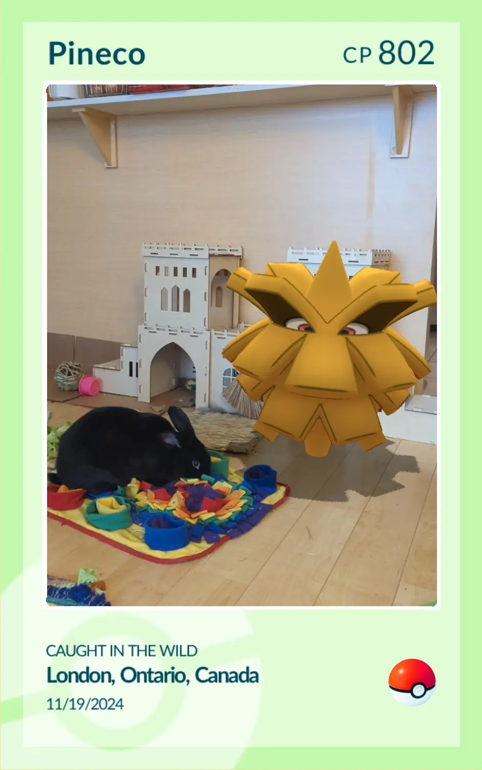 A photo of a black rabbit eating from a colorful fabric toy mat on a wooden floor, with a white cardboard castle in the…