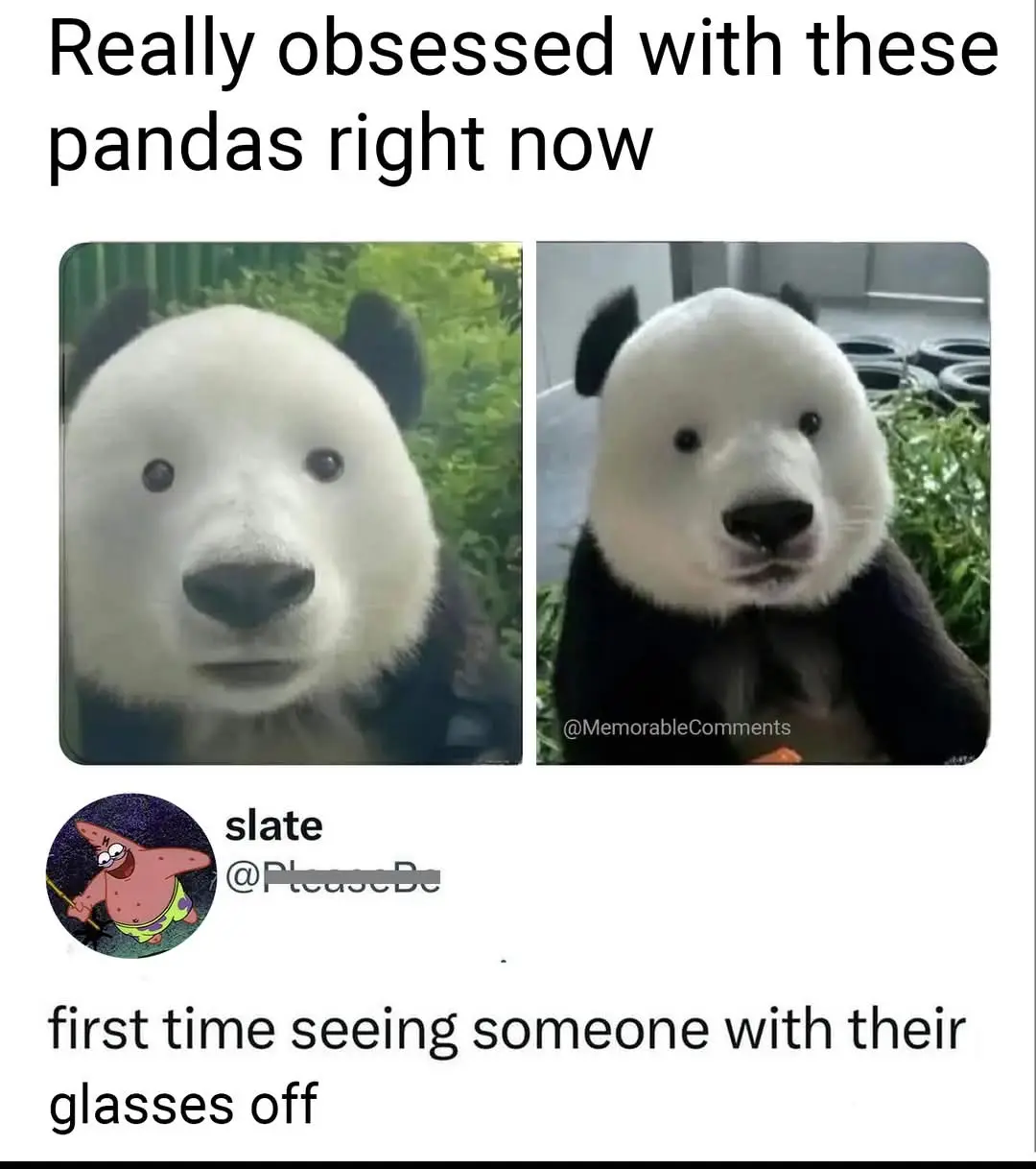 The image displays two side-by-side photos of pandas with wide, innocent-looking eyes. The top text reads 'Really obsessed…