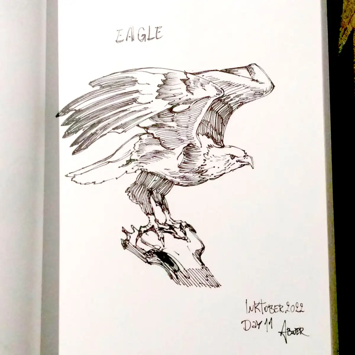 The Art of Linework: A Closer Look