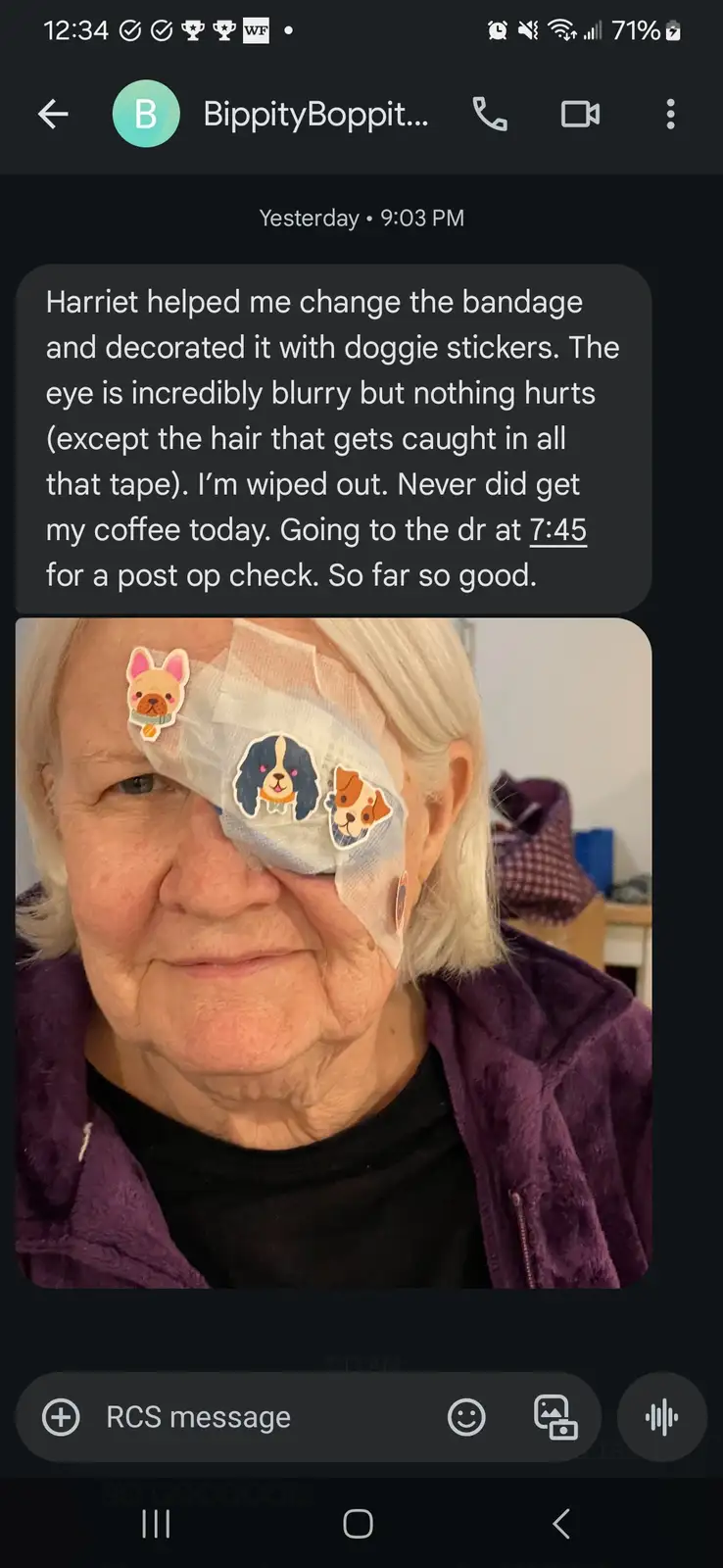 Boo's Update 2: Now with Adorable Doggy Stickers!