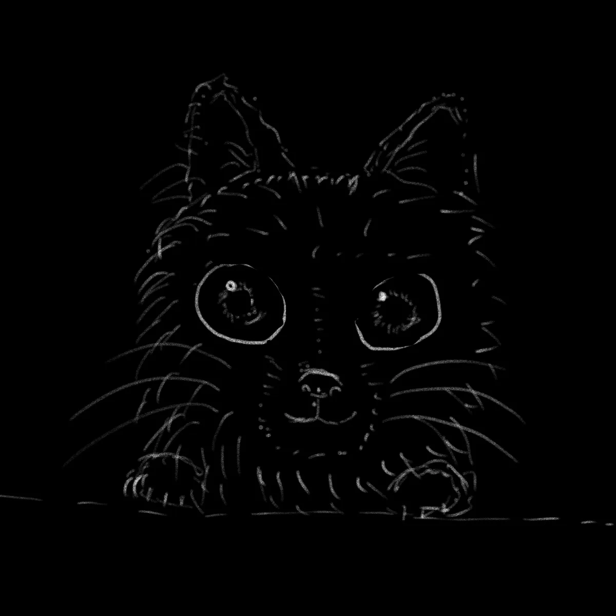 Meet Fluffy: The Adorable Companion