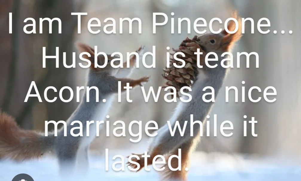 Team Pinecone: United We Stand!