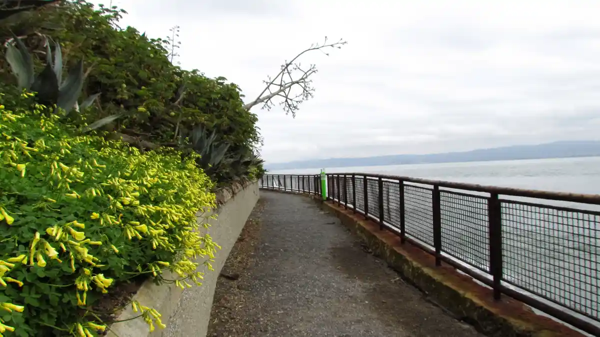 A scenic coastal pathway with a metal railing overlooks calm water and distant hills under an overcast sky. Lush green…