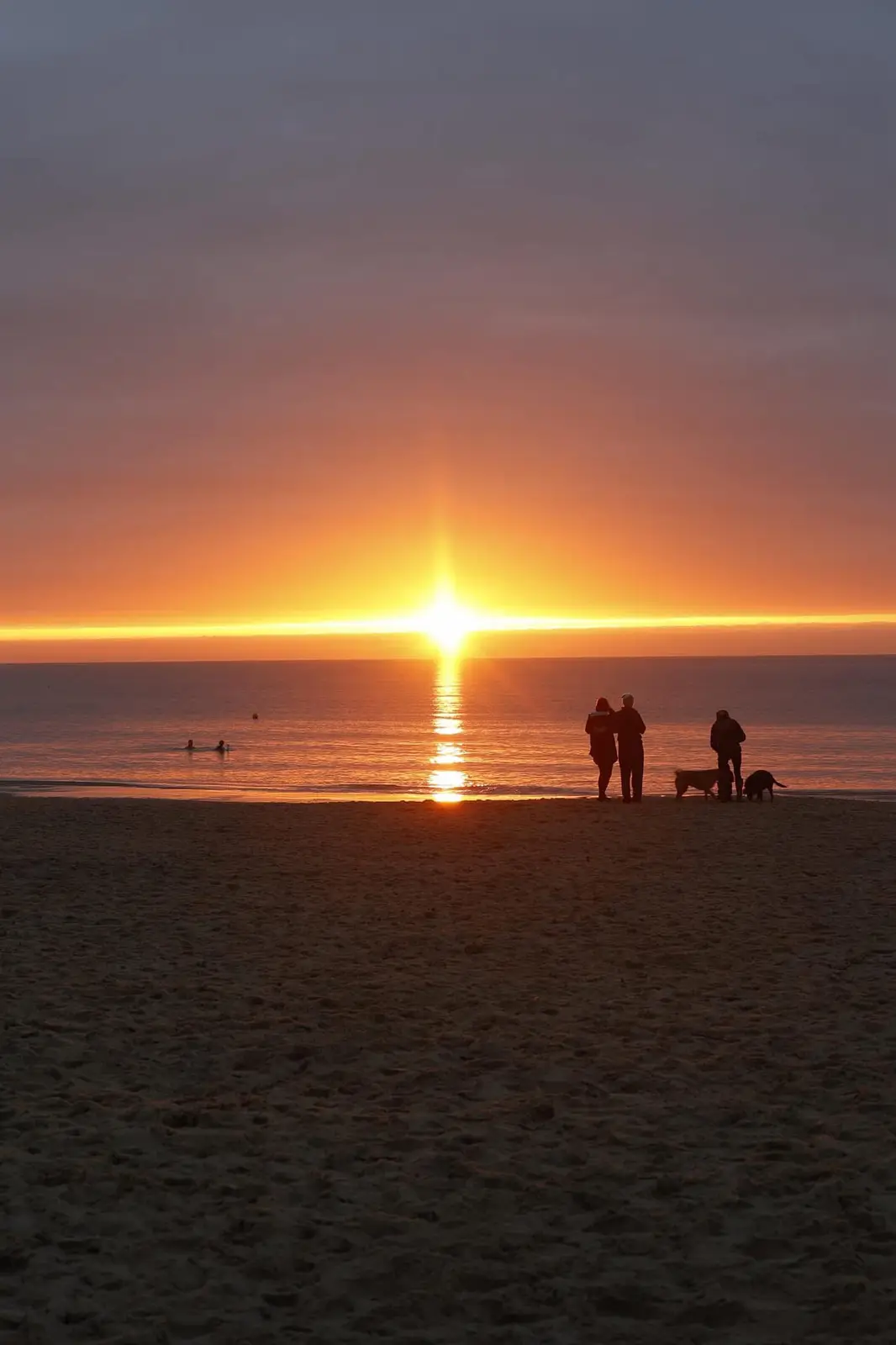 A serene beach scene at sunrise with silhouettes of people and dogs on the shore, the sun glowing brightly on the horizon…