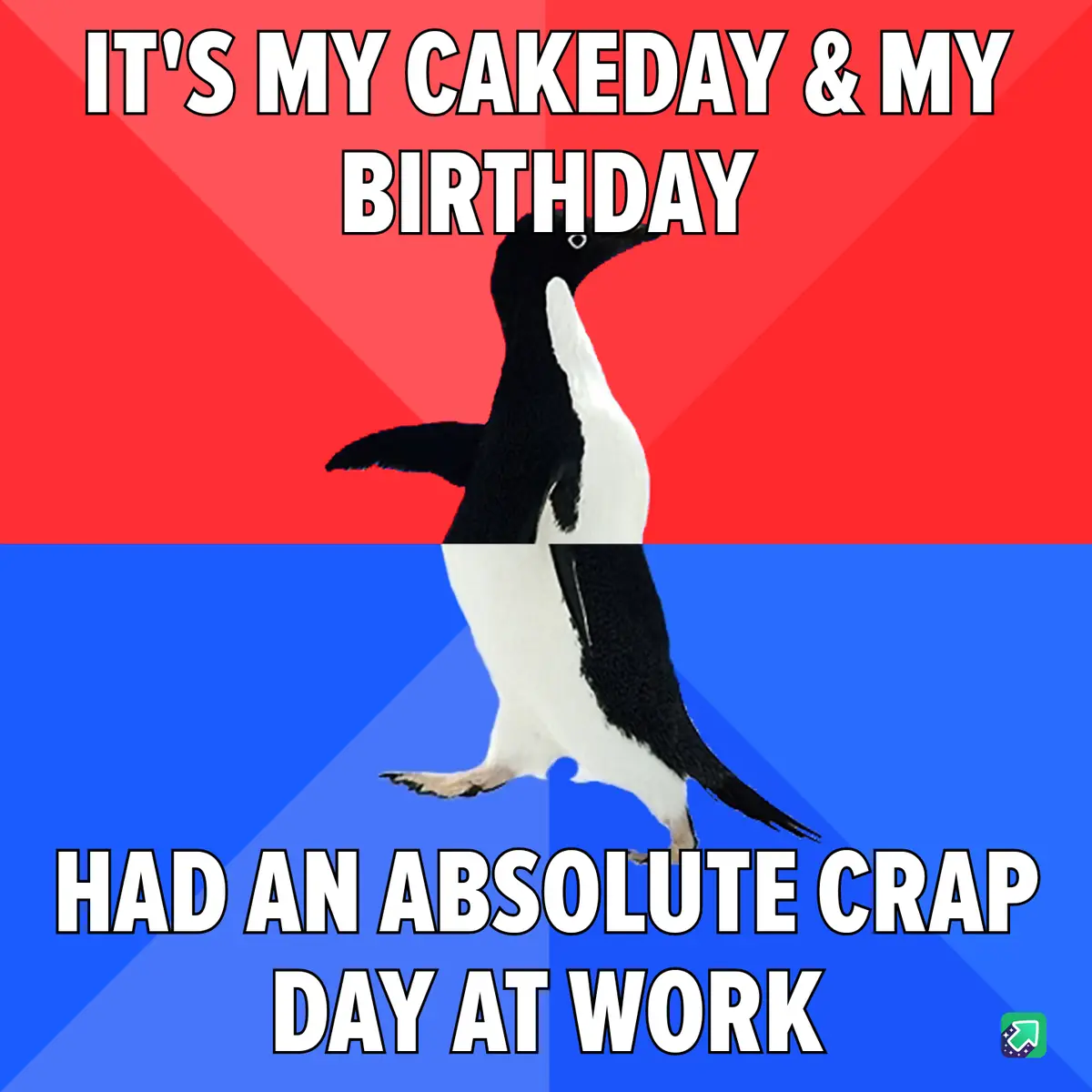 A penguin stands centered against a red and blue background, with bold white text at the top reading 'IT'S MY CAKEDAY & MY…