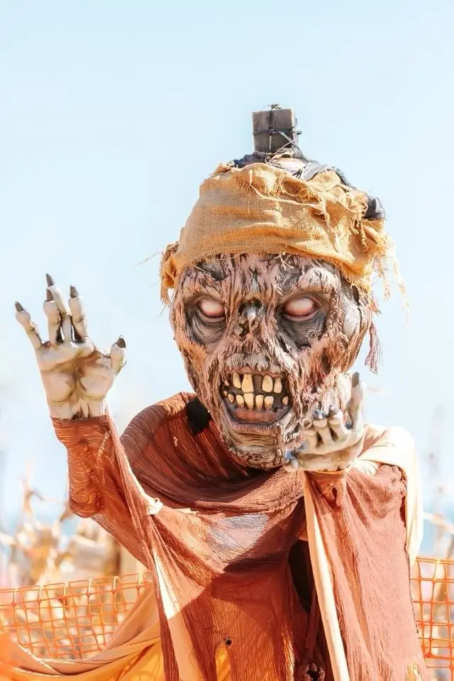 Get Ready for a Frightening Halloween Scare!