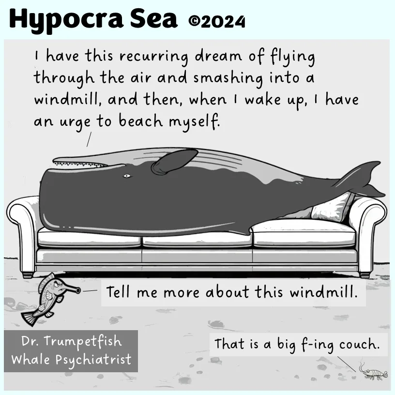 The Whale Therapist: Deep Conversations Under the Sea