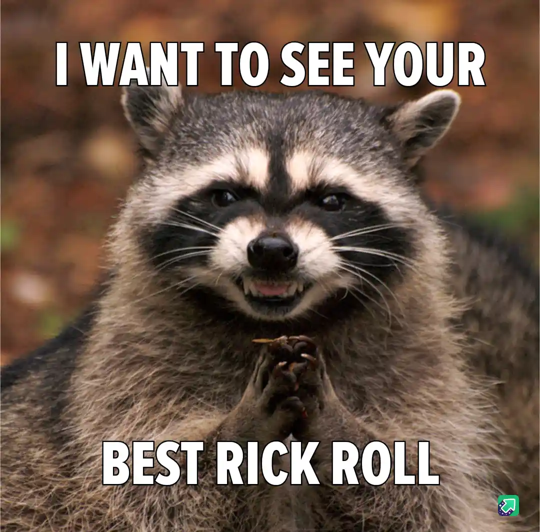 A close-up photo of a raccoon with a pleading expression, its paws clasped together as if begging. The raccoon has a…