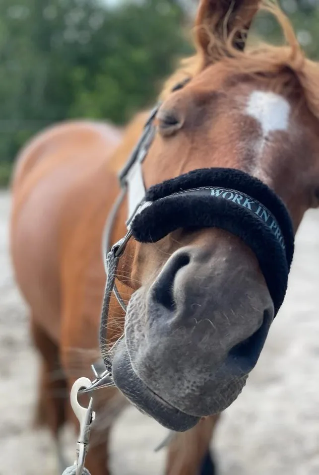 Adorable Alert: Cutieeee