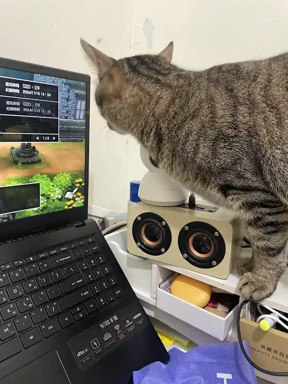 一只虎斑猫站在书桌旁，前爪搭在白色抽屉柜上，正专注地凝视着一台打开的笔记本电脑屏幕，屏幕上显示着一款游戏的界面，包含“游玩时间 020:09”和“纪录时间…