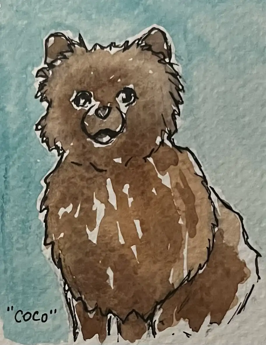 A watercolor-style drawing of a fluffy brown dog with large, expressive eyes and a slightly open mouth, set against a teal…
