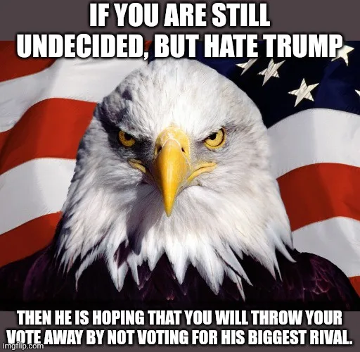 A close-up image of a bald eagle with a stern, angry expression, set against a waving American flag. The eagle's intense…