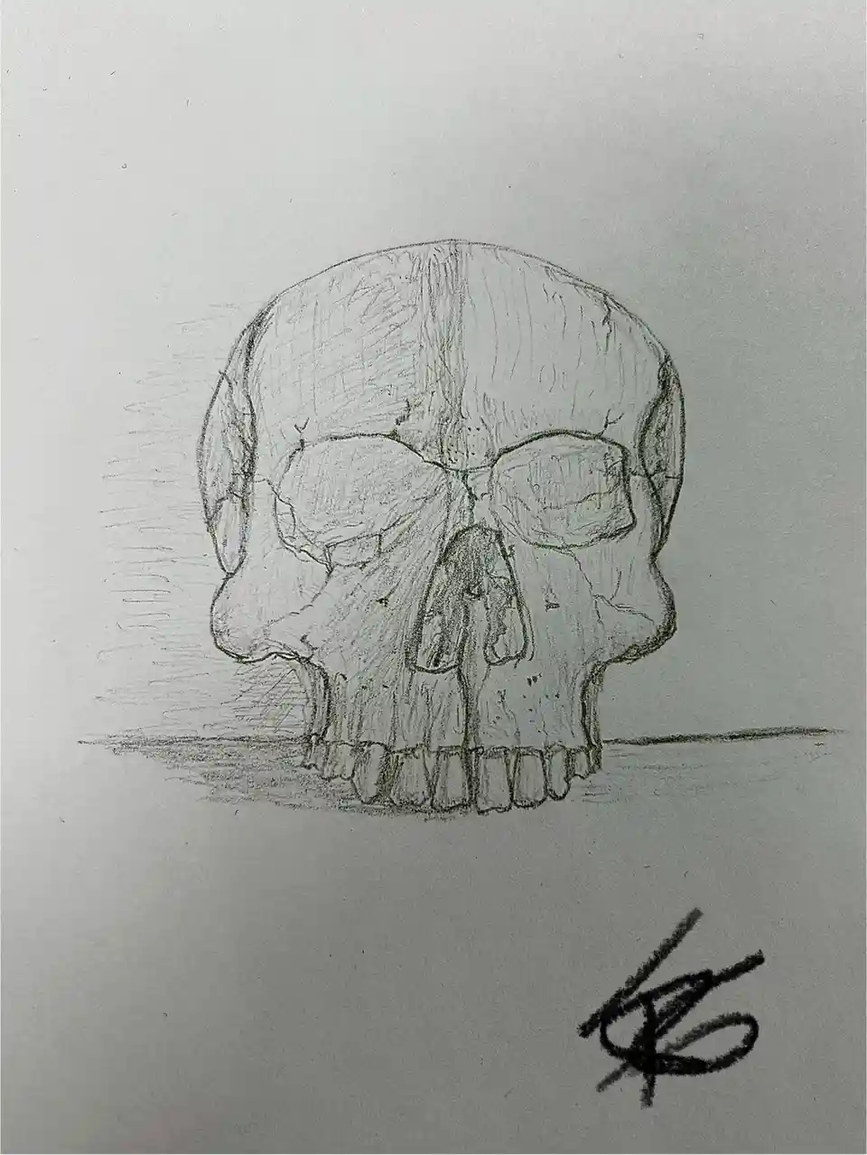 Intriguing Pencil Skull: A Unique Artistic Creation