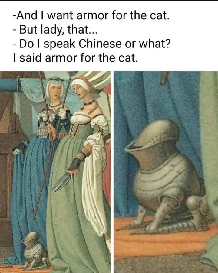 Introducing the ultimate cat armor for your furry friend