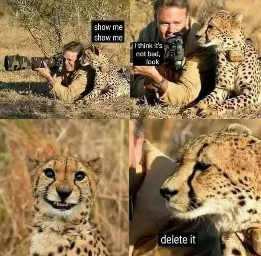 But hey, that's actually a great picture!