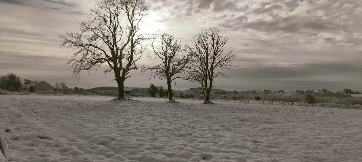 A sepia-toned photograph of a snowy field with three bare trees, a house in the distance, and a cloudy sky. The overlaid…