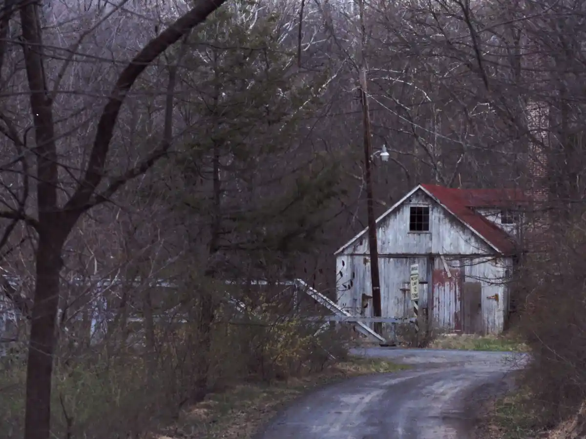A dilapidated, weathered white wooden shed with a rusted red roof sits beside a dirt road, partially obscured by bare winter…