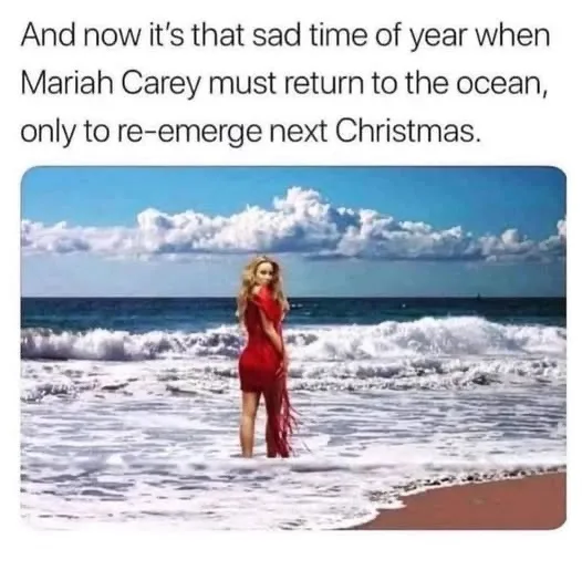 Catch you next Christmas!